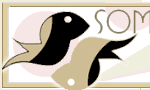 Something Fishy Website on Eating Disorders